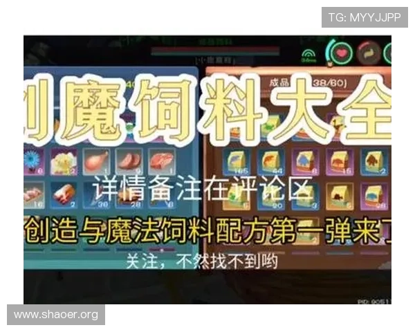 壹号平台下载安装官方网站完整流程介绍,快速掌握平台安装与使用技巧